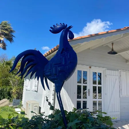 Maison Saint Paul Bed & Breakfast La Colle-sur-Loup